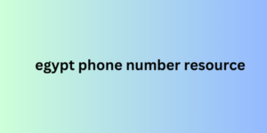 egypt phone number resource