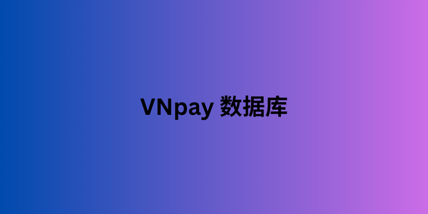 vnpay 数据库